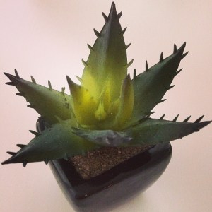 10247225_10202193136123213_6308358534108607108_n