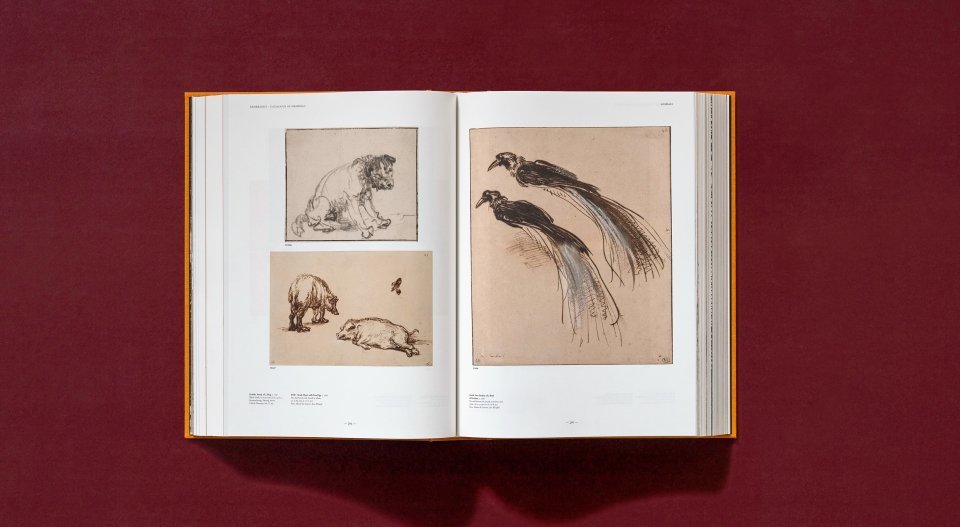 Rembrandt: Sämtliche Zeichnungen Und Radierungen – 350 Jahre Jubiläumsausgabe | XXL-Monografie